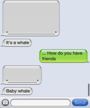 Baby Whale