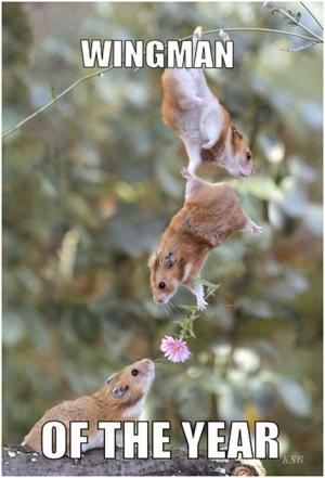 Wingman of the year