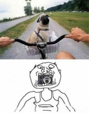 Taking a picture