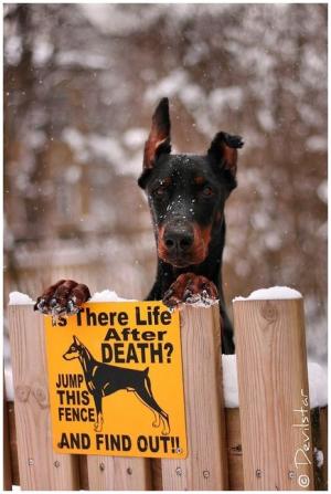 Is there life after death?