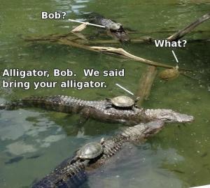 Bring your Alligator.