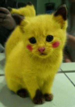 The real Pikachu
