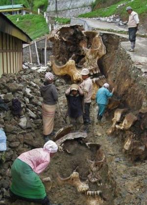 Giants...they exist o.O