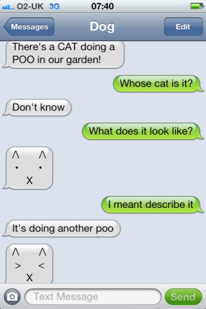 cat poo