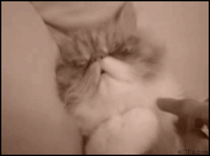 Wakey wakey