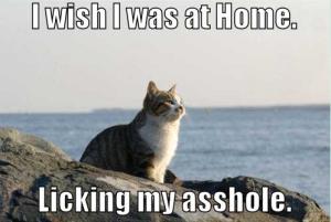 Home sweet home...