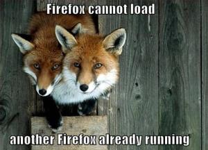 Firefox Cannot Load