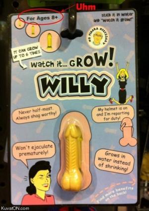 Willy