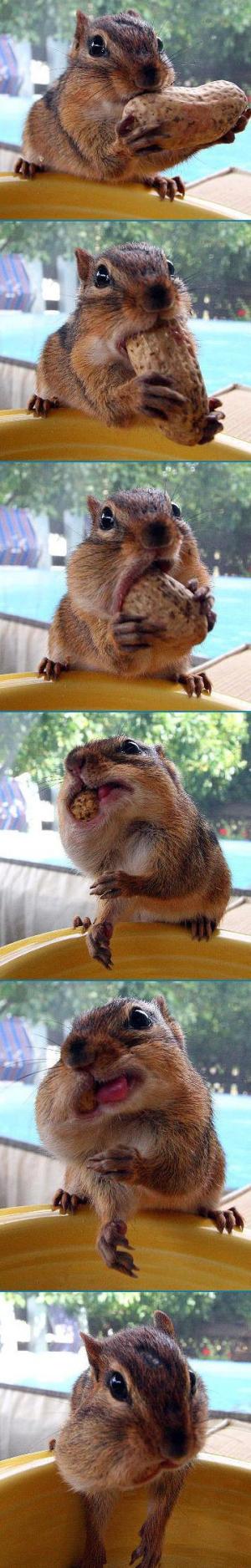 Moooaaaarrr!..please?