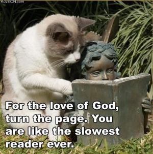 Slow reader