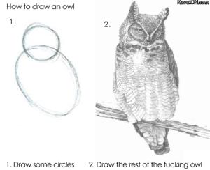 How to draw an owl
