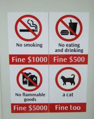 Cat fine too
