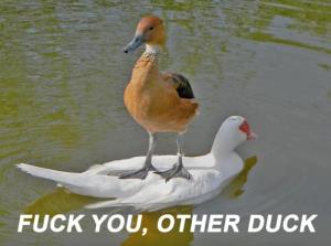 Fuck you