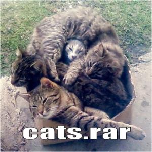 Cats.rar