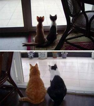 Friends Forever