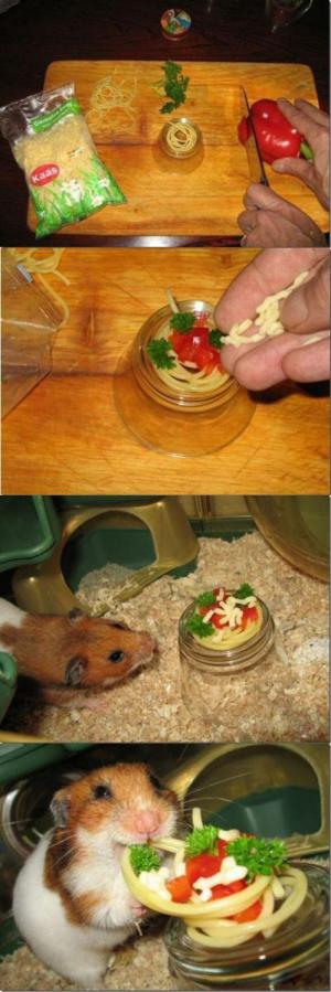 Food for picture