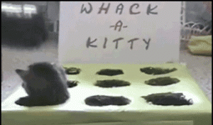 Whack a kitty