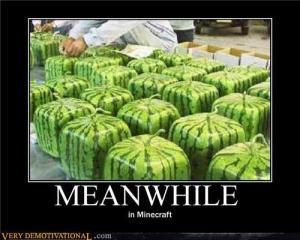 Meanwhile on Minecraft...