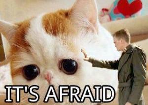 Starship Troopers...anyone? :P