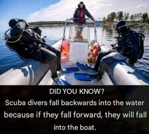 Scuba divers