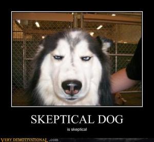 Skeptical Dog