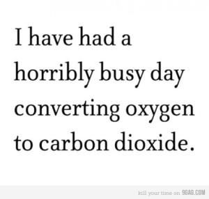 Busy day