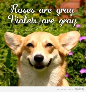 Roses are...
