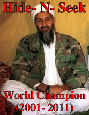 Hide 'n Seek Champion
