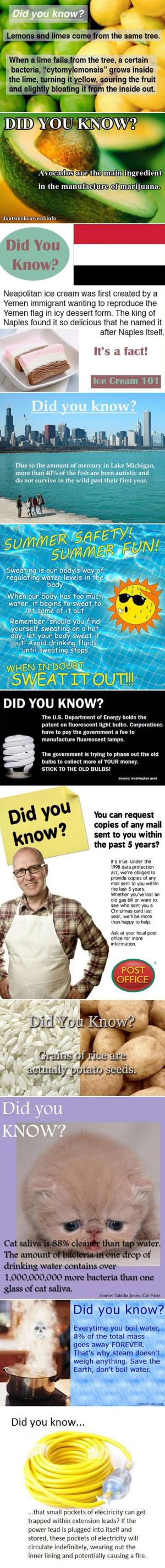 Did you know?