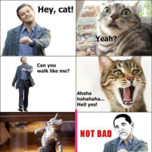 Hell yeah!