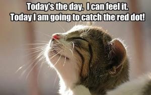 Today is the day