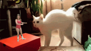 Creepy dance