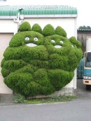 Excited bush