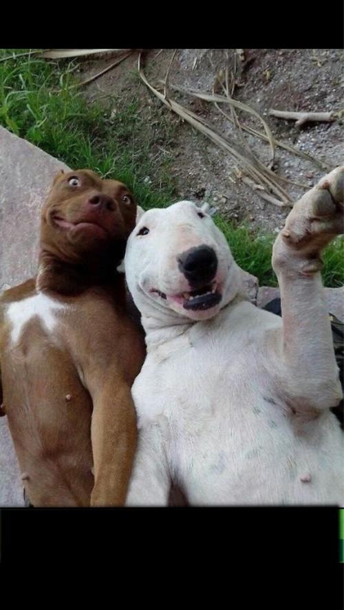 Selfie