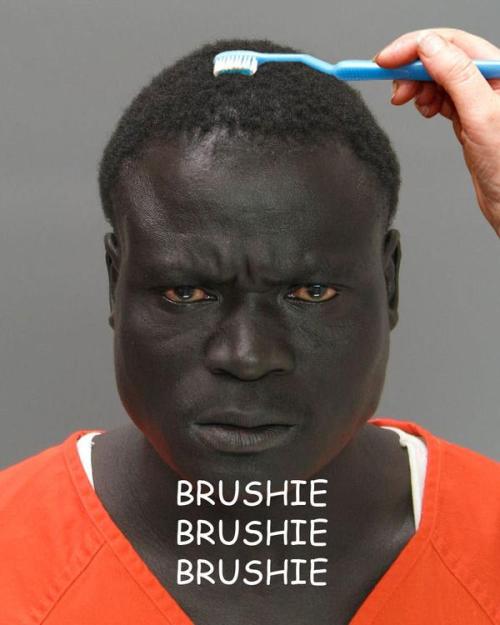 Brushie brushie