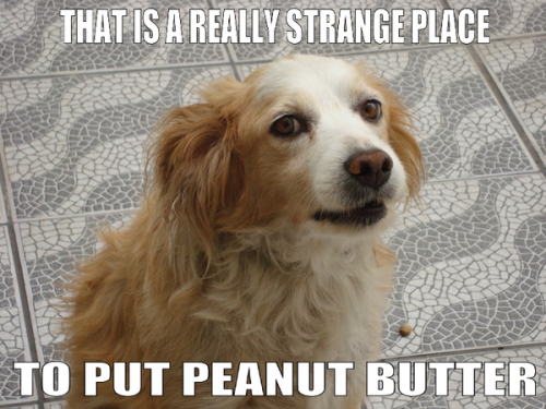 Strange place to put peanutbutter on