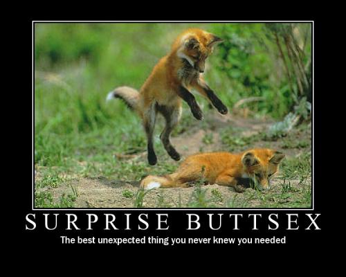 Surprise buttsex