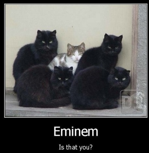 Eminem?