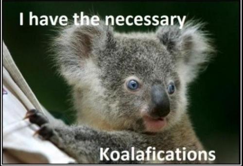 Koalafications...he has it