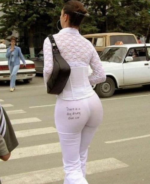 Check butt and find out about the car-driver
