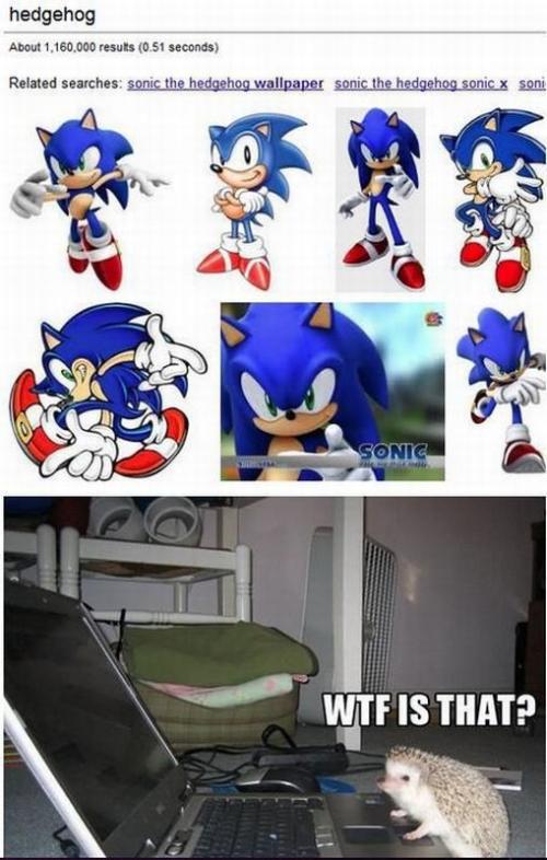 What the fuck is that