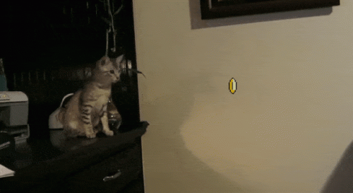 Mario jerk