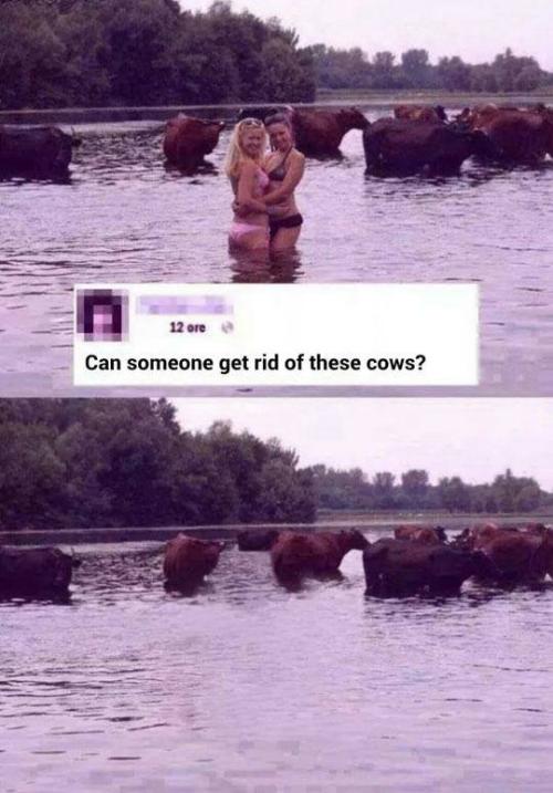 Cowgirls