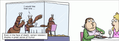 Lobsters have sense of humor