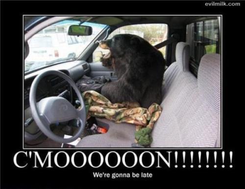 C'moooooooooooon!