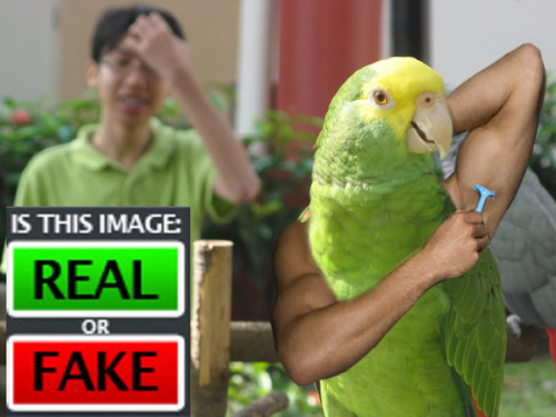 Real or Fake