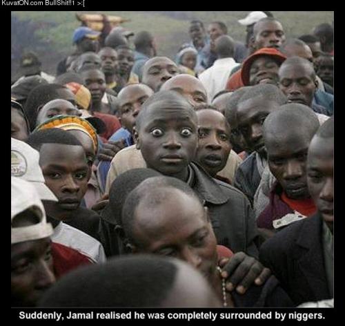 jamal