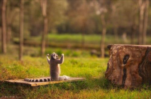 Morning Gymnastics