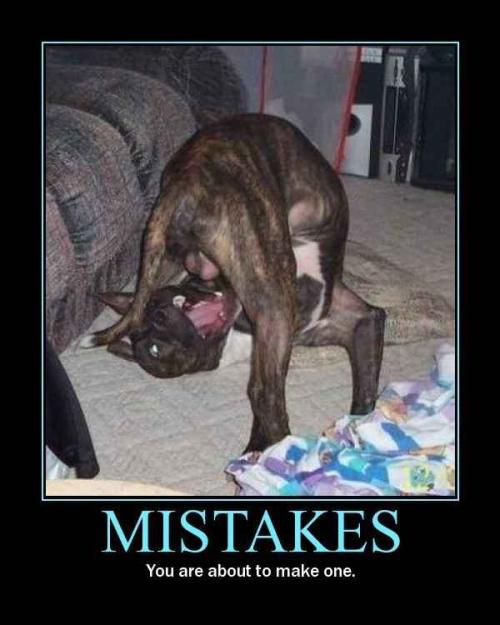 Mistake
