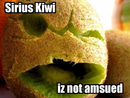 Sirius Kiwi